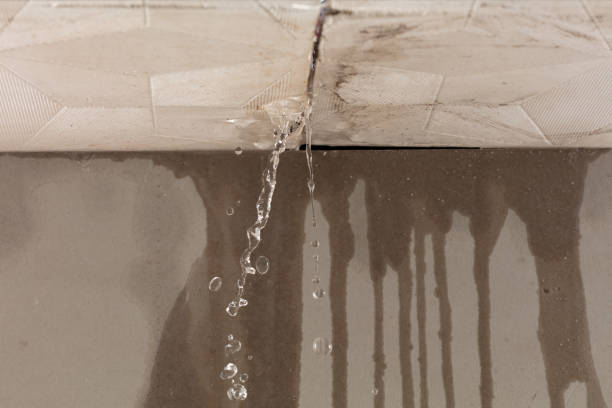 Professional Structural Drying technician working in Rye, NH